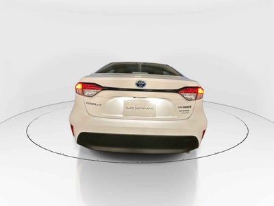 2023 Toyota Corolla 4p LE HEV L4/1.8 Aut