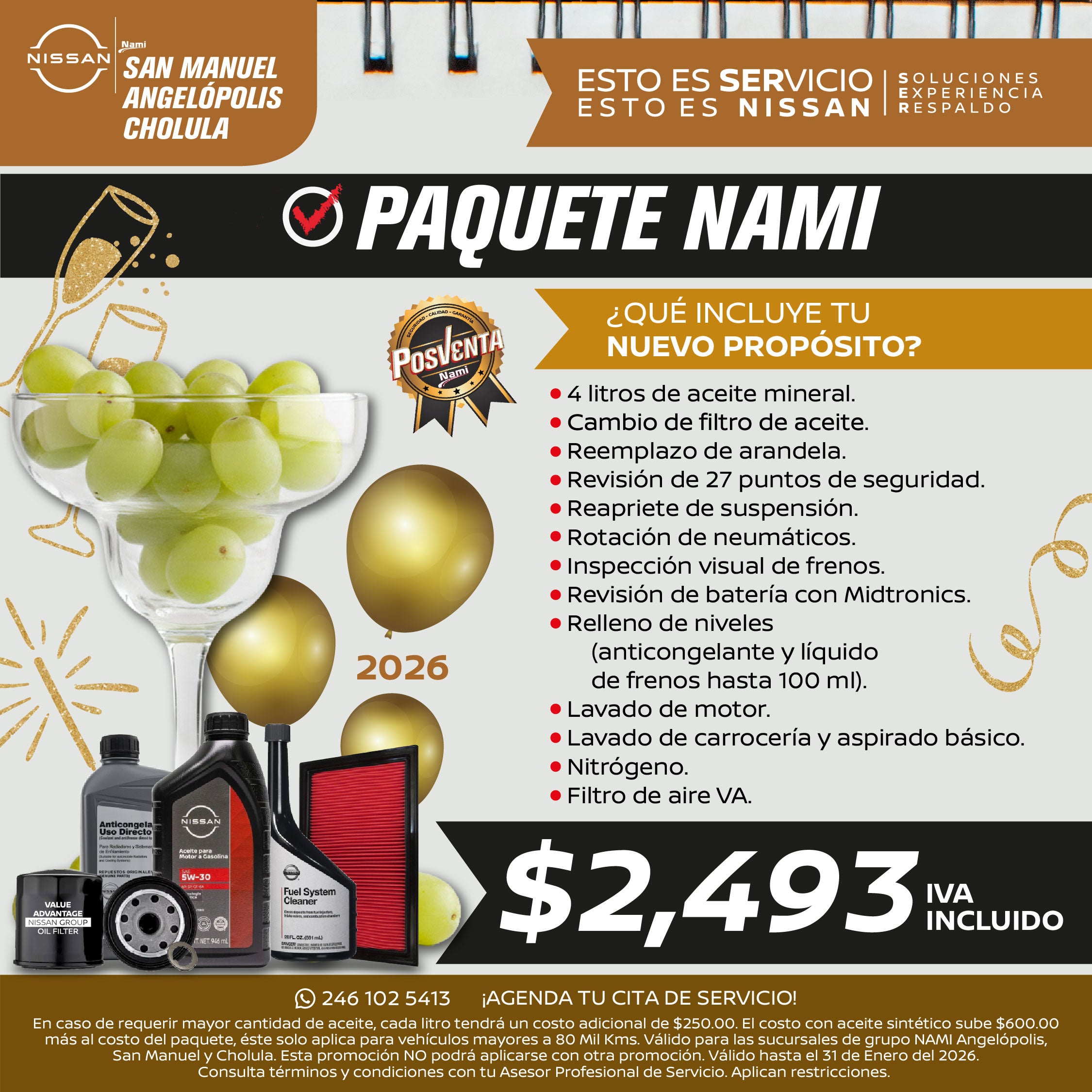 NISSAN PAQUETE NAMI