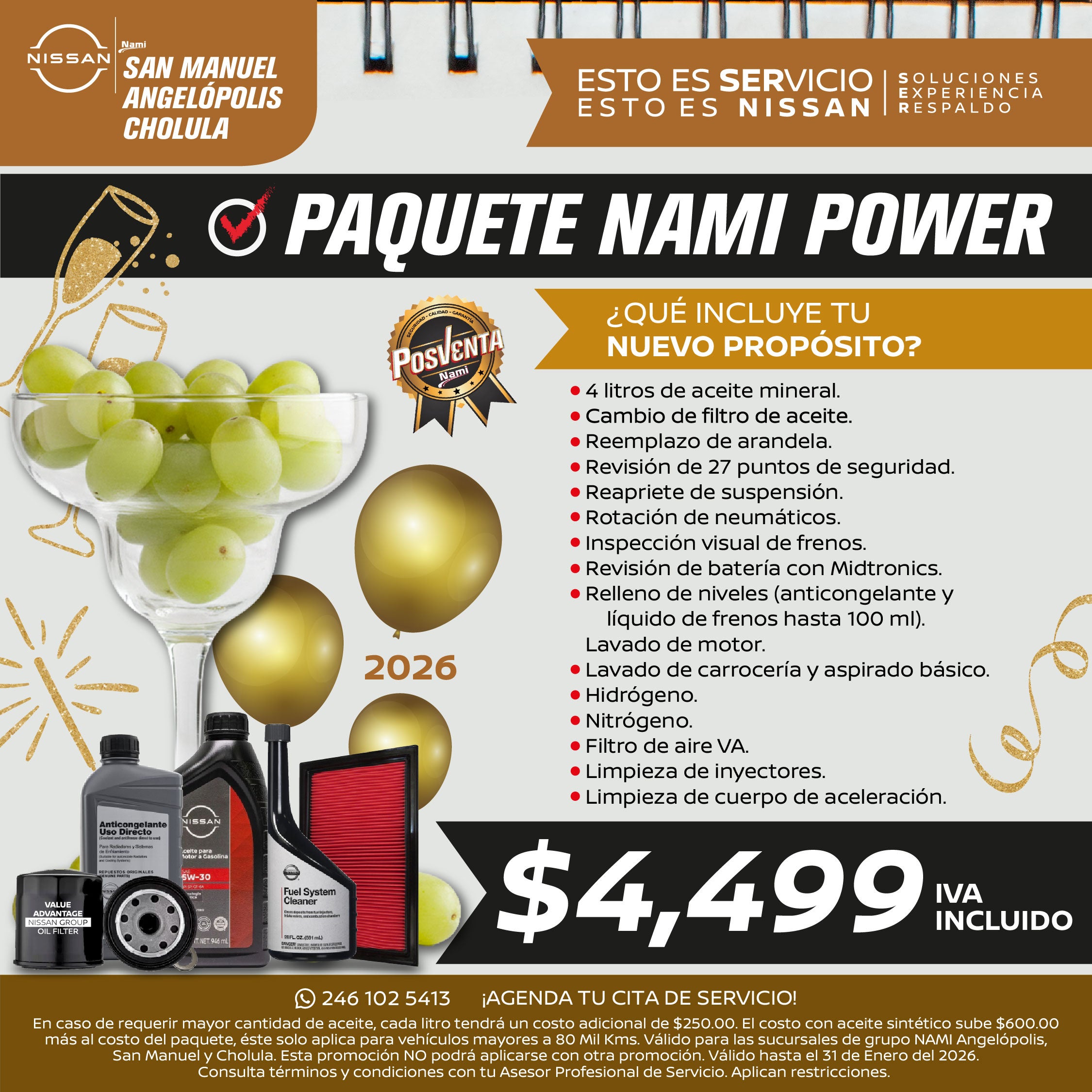 NISSAN PAQUETE NAMI POWER
